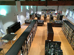 Novel·la i novel·la juvenil